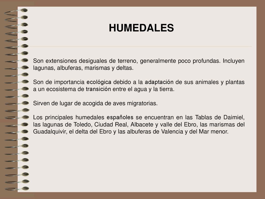 HUMEDALES Son extensiones desiguales de terreno, generalmente poco profundas. Incluyen lagunas, albuferas, marismas y deltas.