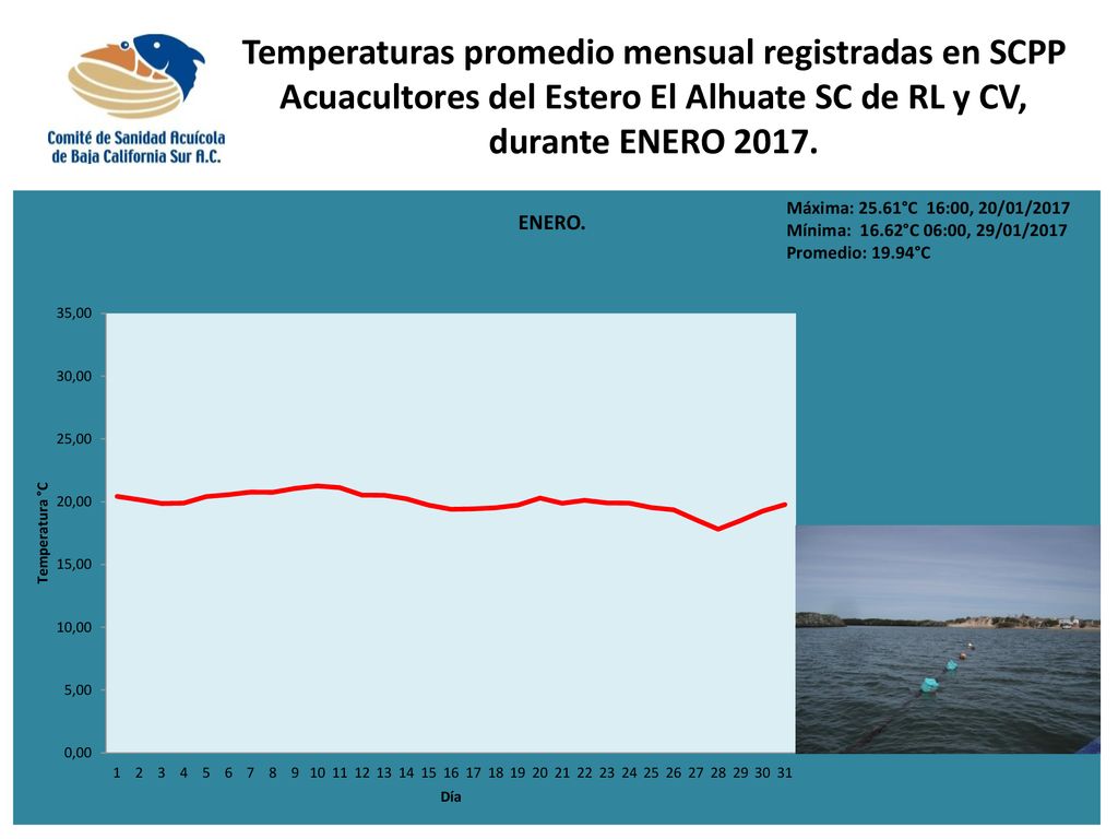 Temperaturas promedio mensual registradas en SCPP Acuacultores del Estero El Alhuate SC de RL y CV, durante ENERO 2017.
