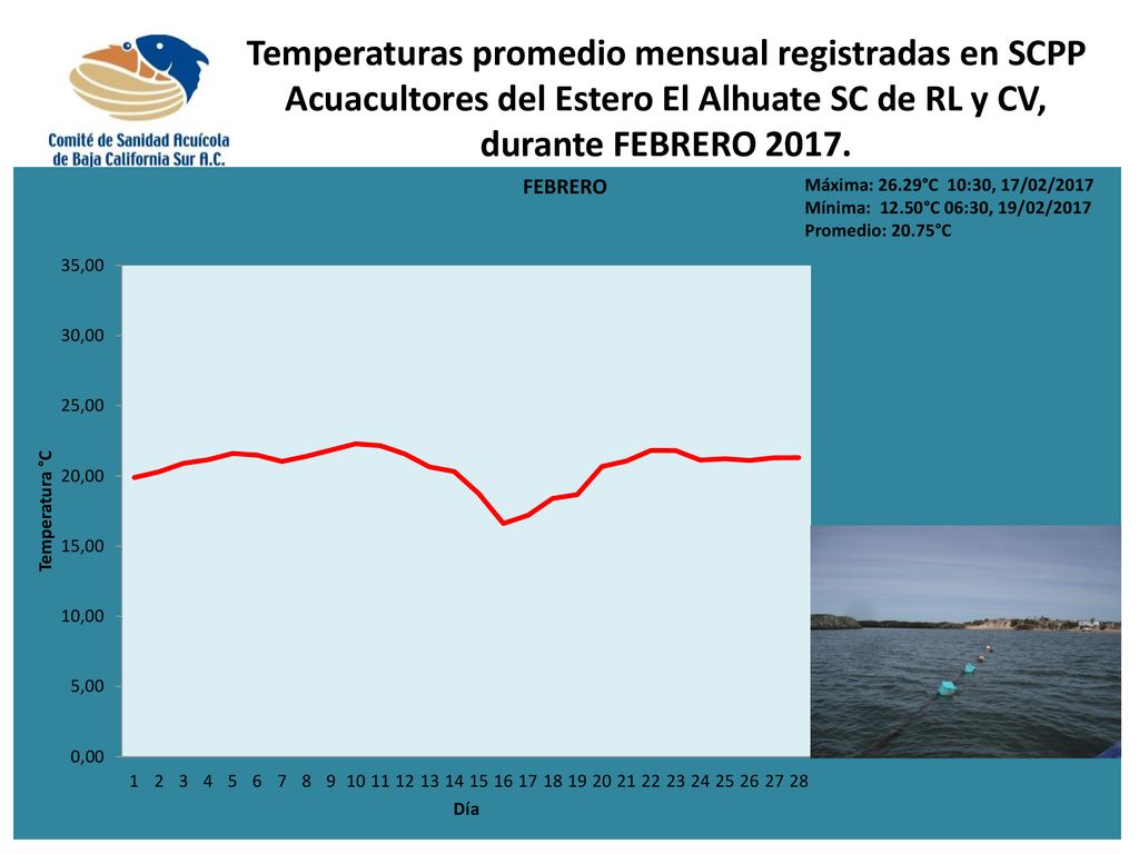 Temperaturas promedio mensual registradas en SCPP Acuacultores del Estero El Alhuate SC de RL y CV, durante FEBRERO 2017.