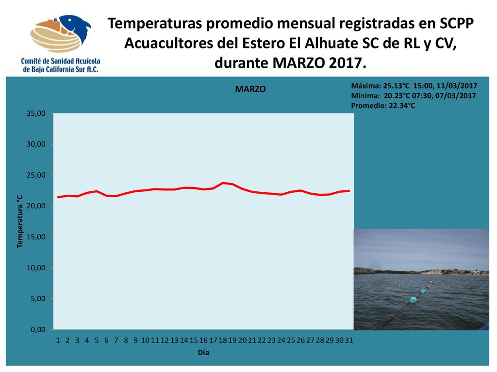 Temperaturas promedio mensual registradas en SCPP Acuacultores del Estero El Alhuate SC de RL y CV, durante MARZO 2017.