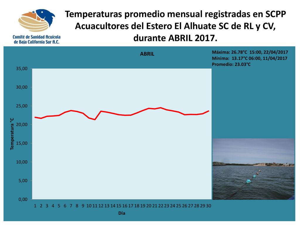 Temperaturas promedio mensual registradas en SCPP Acuacultores del Estero El Alhuate SC de RL y CV, durante ABRIL 2017.