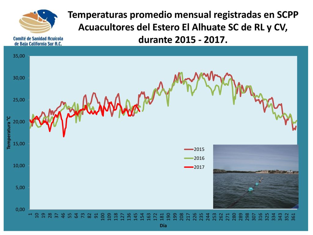 Temperaturas promedio mensual registradas en SCPP Acuacultores del Estero El Alhuate SC de RL y CV, durante