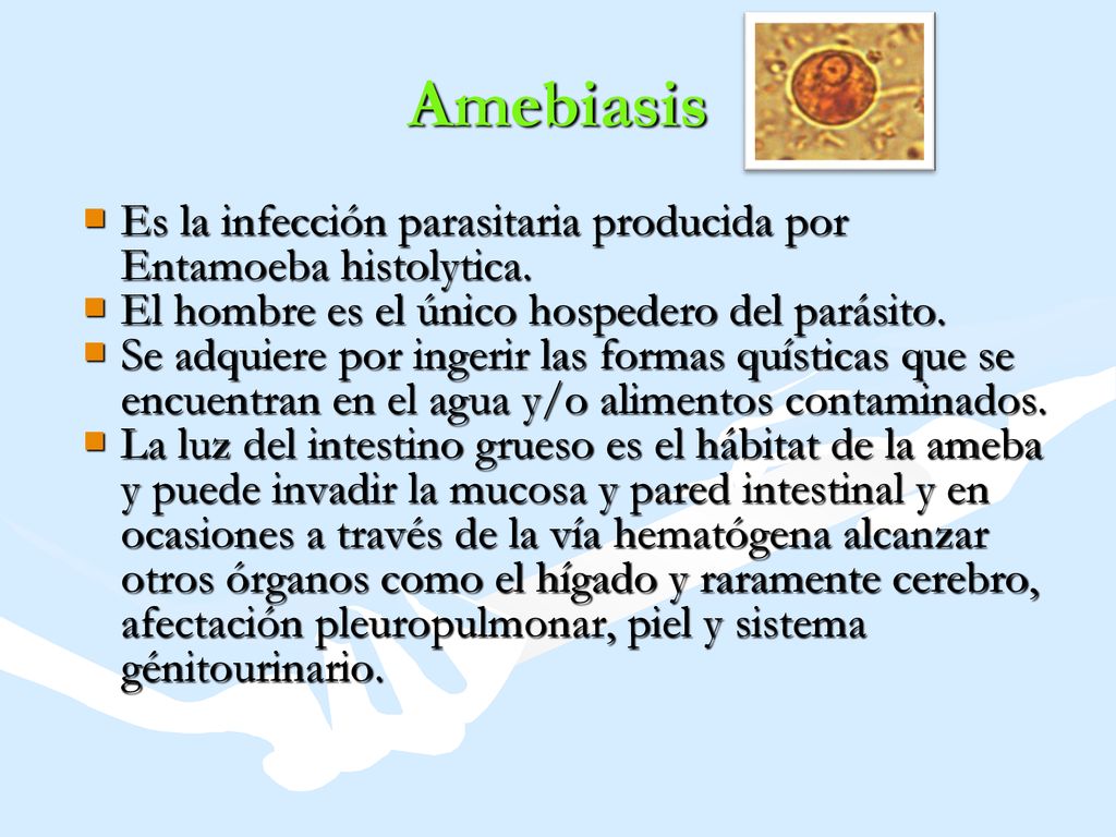 Amebiasis Es la infección parasitaria producida por Entamoeba histolytica. El hombre es el único hospedero del parásito.