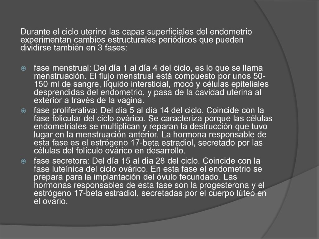 Durante el ciclo uterino las capas superficiales del endometrio experimentan cambios estructurales periódicos que pueden dividirse también en 3 fases: