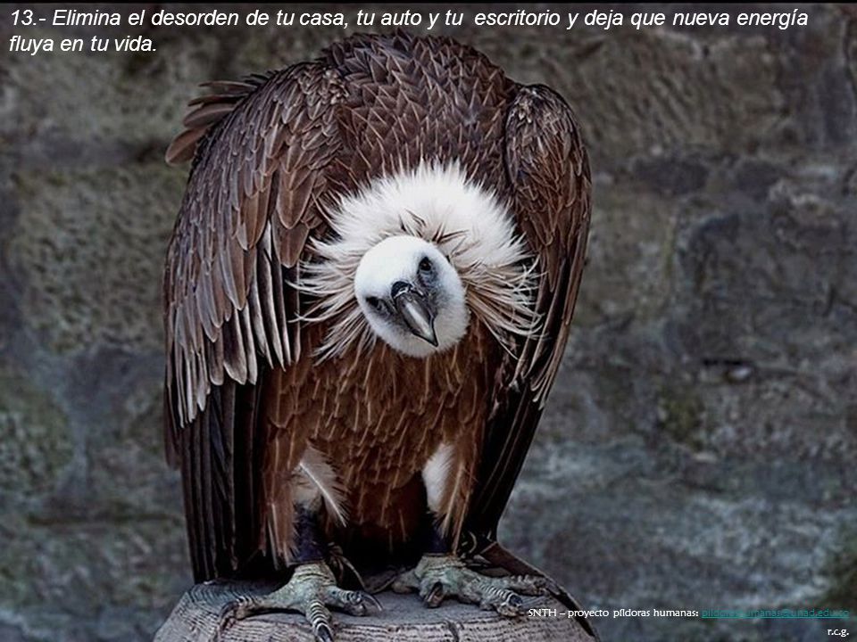 13.- Elimina el desorden de tu casa, tu auto y tu escritorio y deja que nueva energía fluya en tu vida.
