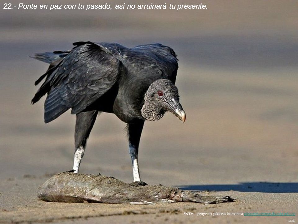 22.- Ponte en paz con tu pasado, así no arruinará tu presente.