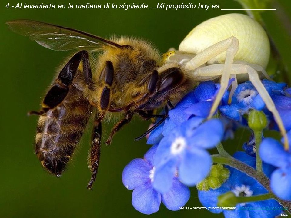 4. - Al levantarte en la mañana di lo siguiente