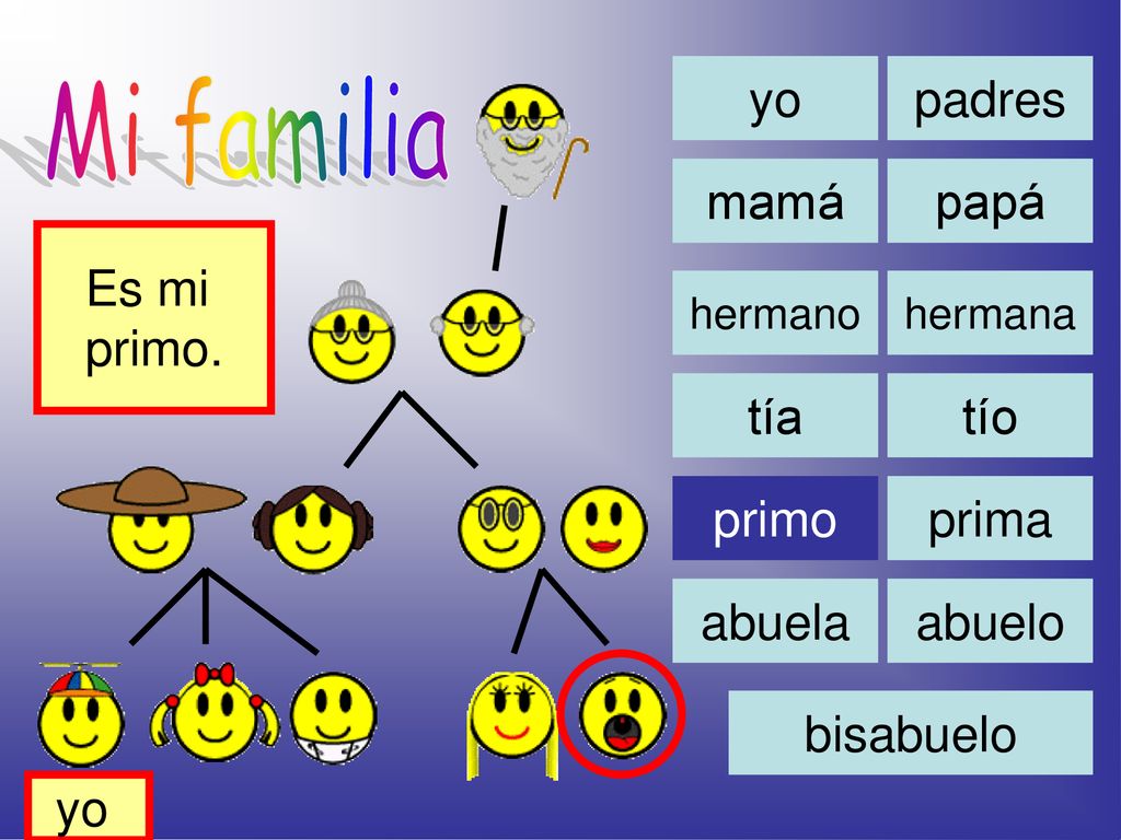Mi familia yo padres mamá papá Es mi primo. tía tío primo prima abuela
