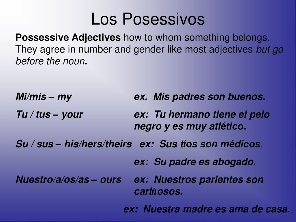 Los Posessivos Possessive Adjectives how to whom something belongs. They agree in number and gender like most adjectives but go before the noun.