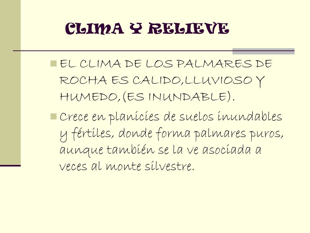 CLIMA Y RELIEVE EL CLIMA DE LOS PALMARES DE ROCHA ES CALIDO,LLUVIOSO Y HUMEDO,(ES INUNDABLE).