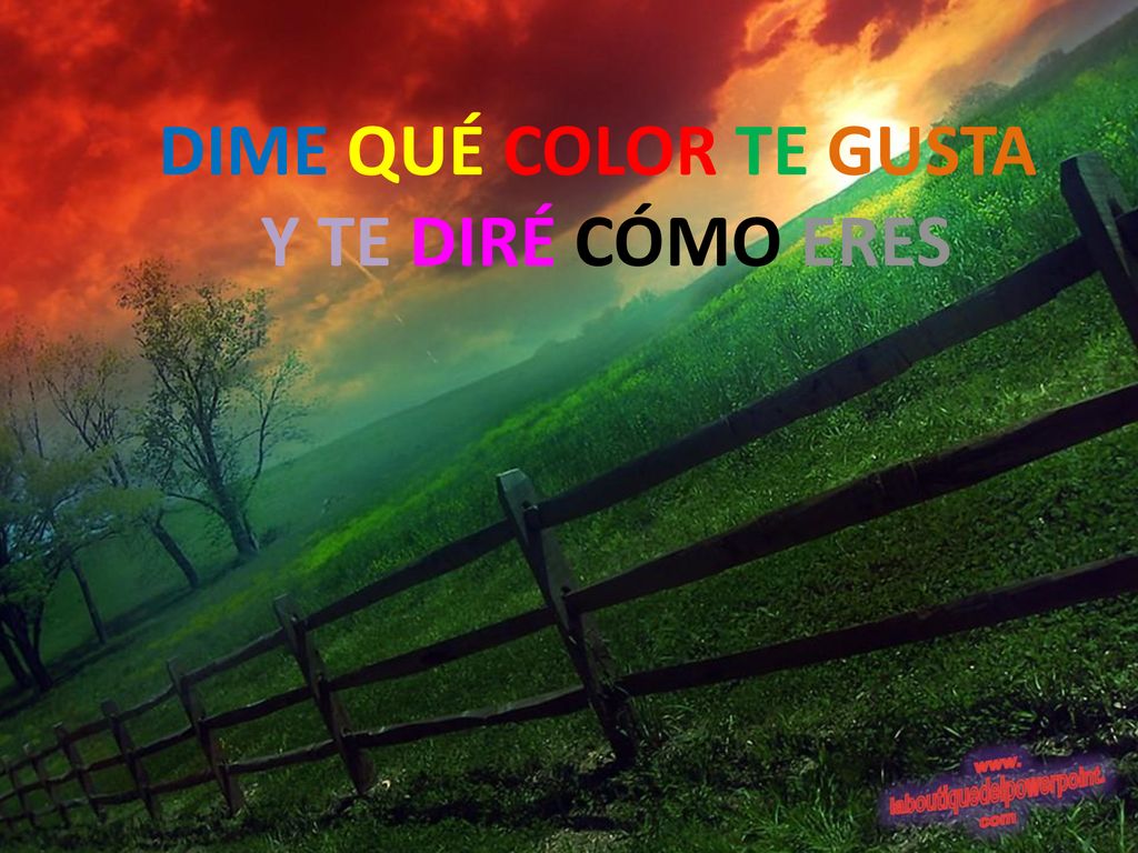 DIME QUÉ COLOR TE GUSTA Y TE DIRÉ CÓMO ERES