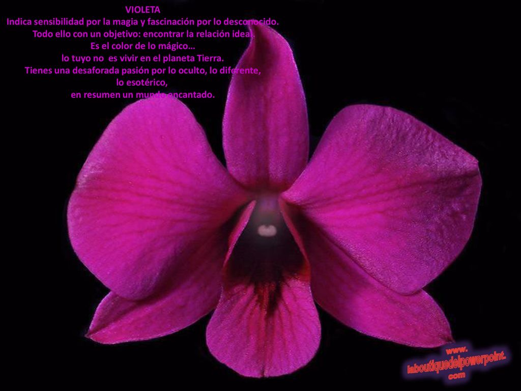 Indica sensibilidad por la magia y fascinación por lo desconocido.