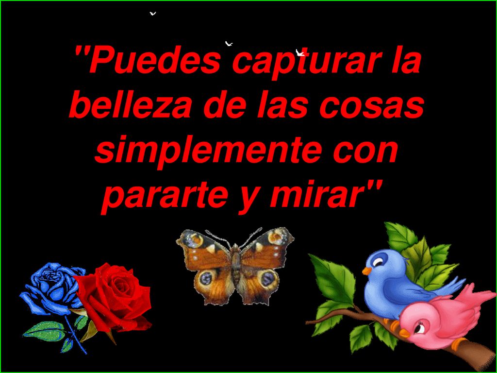 Puedes capturar la belleza de las cosas simplemente con pararte y mirar