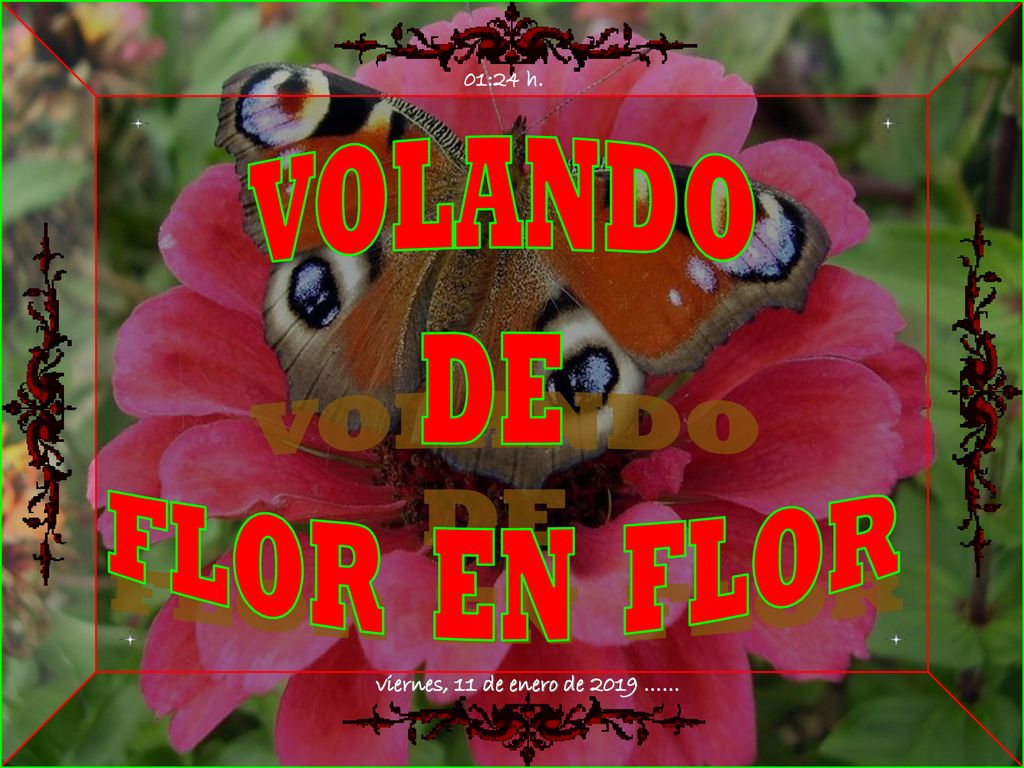 01:24 h. VOLANDO DE FLOR EN FLOR viernes, 11 de enero de 2019 …… 3