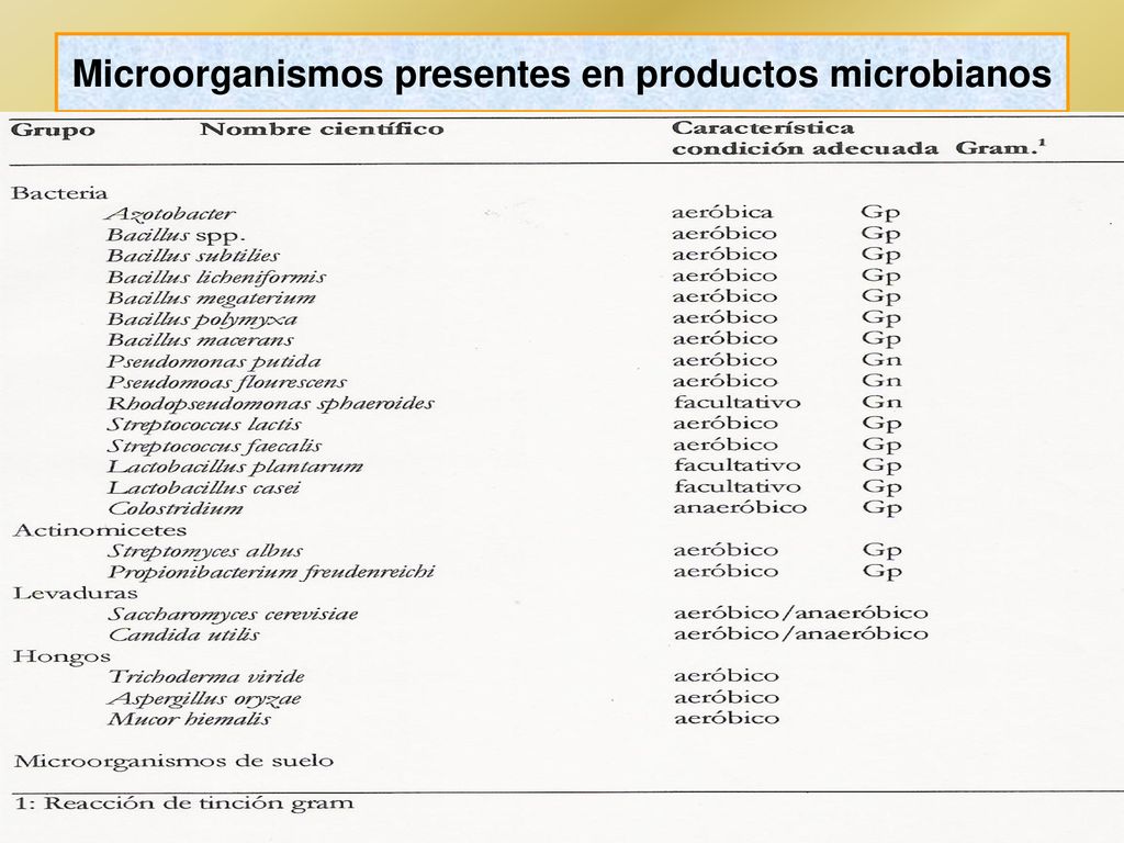 Microorganismos presentes en productos microbianos