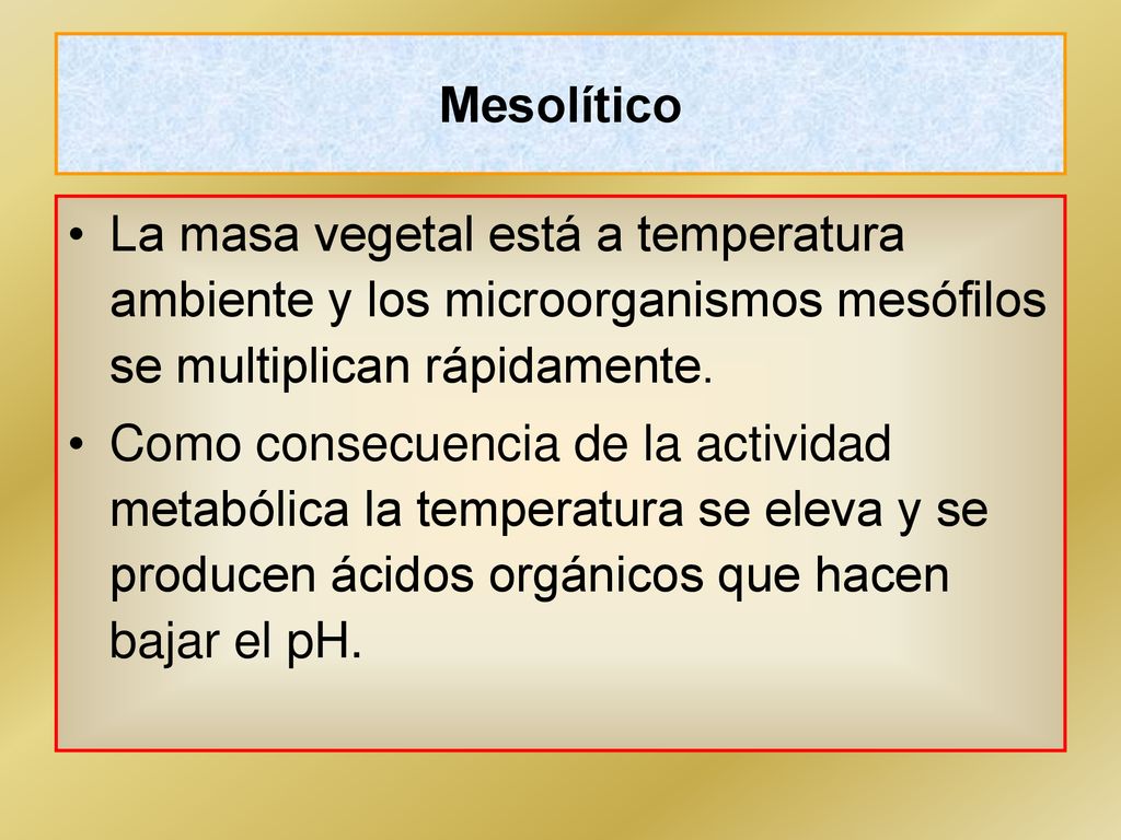 Mesolítico La masa vegetal está a temperatura ambiente y los microorganismos mesófilos se multiplican rápidamente.