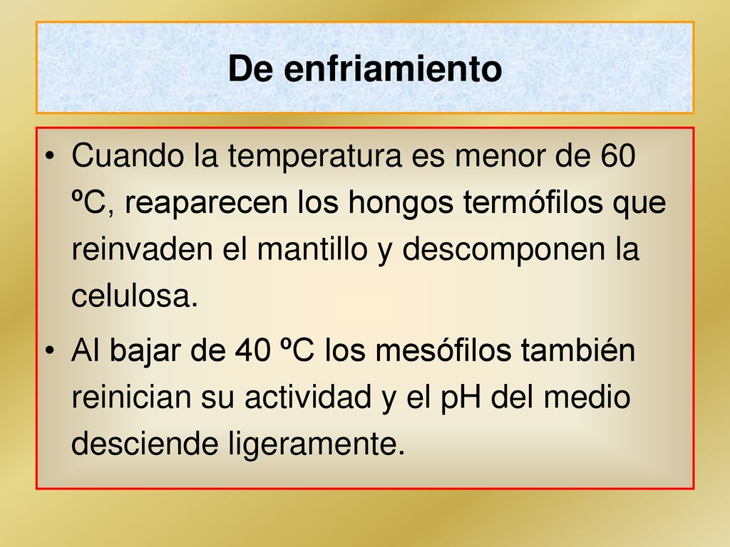 De enfriamiento Cuando la temperatura es menor de 60 ºC, reaparecen los hongos termófilos que reinvaden el mantillo y descomponen la celulosa.