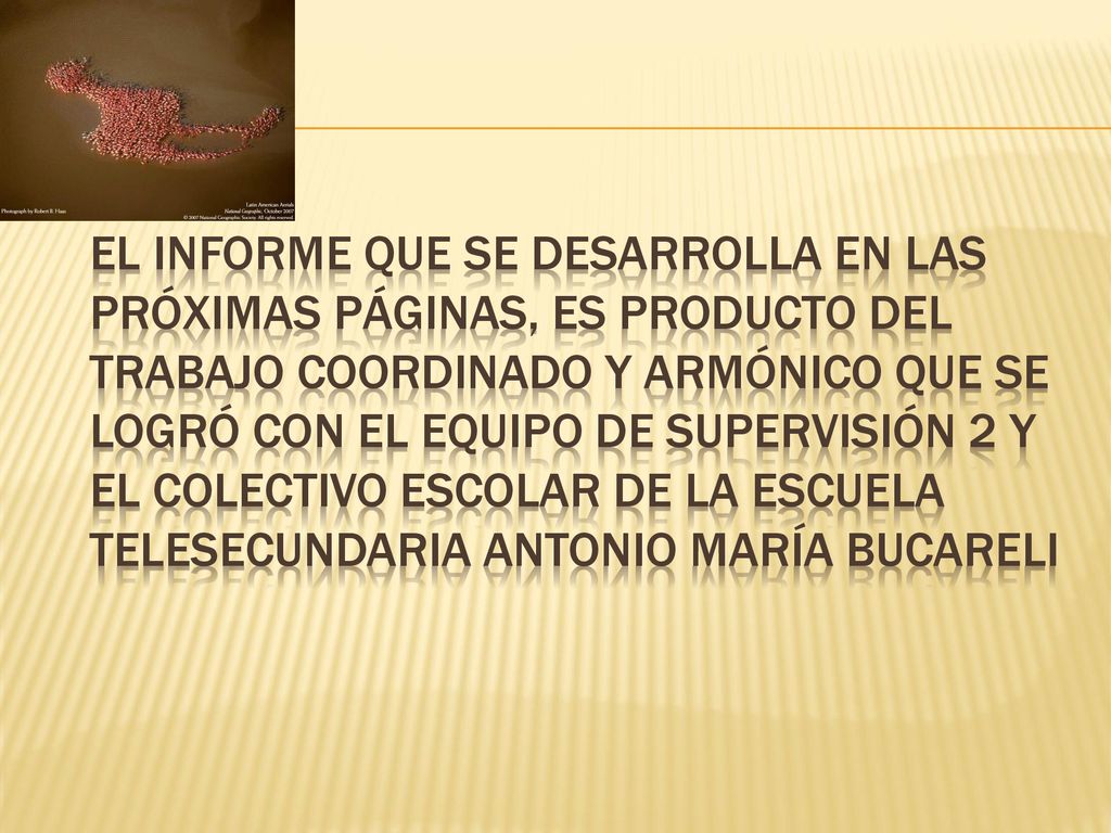 El informe que se desarrolla en las próximas páginas, es producto del trabajo coordinado y armónico que se logró con el equipo de supervisión 2 y el colectivo escolar de la escuela telesecundaria Antonio María Bucareli
