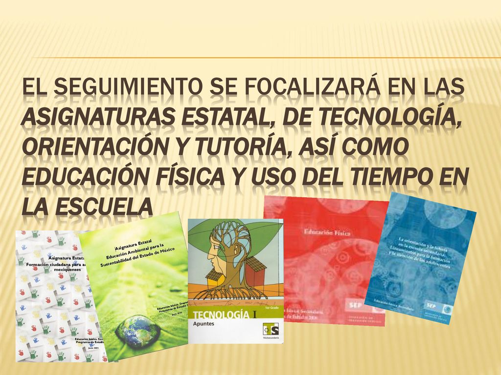 El seguimiento se focalizará en las asignaturas estatal, de tecnología, orientación y tutoría, así como educación física y uso del tiempo en la escuela