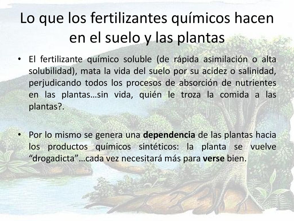 Lo que los fertilizantes químicos hacen en el suelo y las plantas