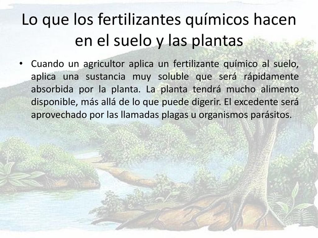 Lo que los fertilizantes químicos hacen en el suelo y las plantas