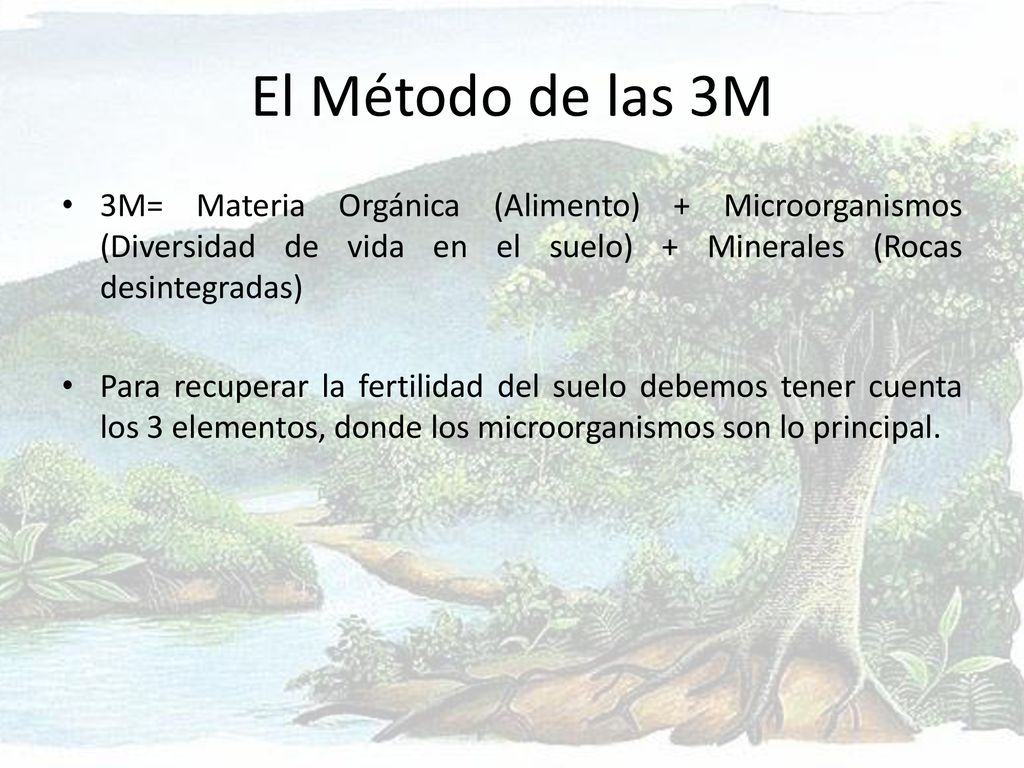 El Método de las 3M 3M= Materia Orgánica (Alimento) + Microorganismos (Diversidad de vida en el suelo) + Minerales (Rocas desintegradas)
