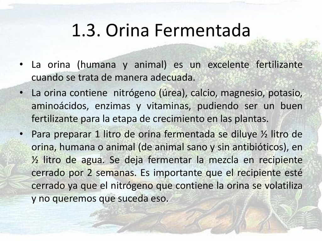 1.3. Orina Fermentada La orina (humana y animal) es un excelente fertilizante cuando se trata de manera adecuada.
