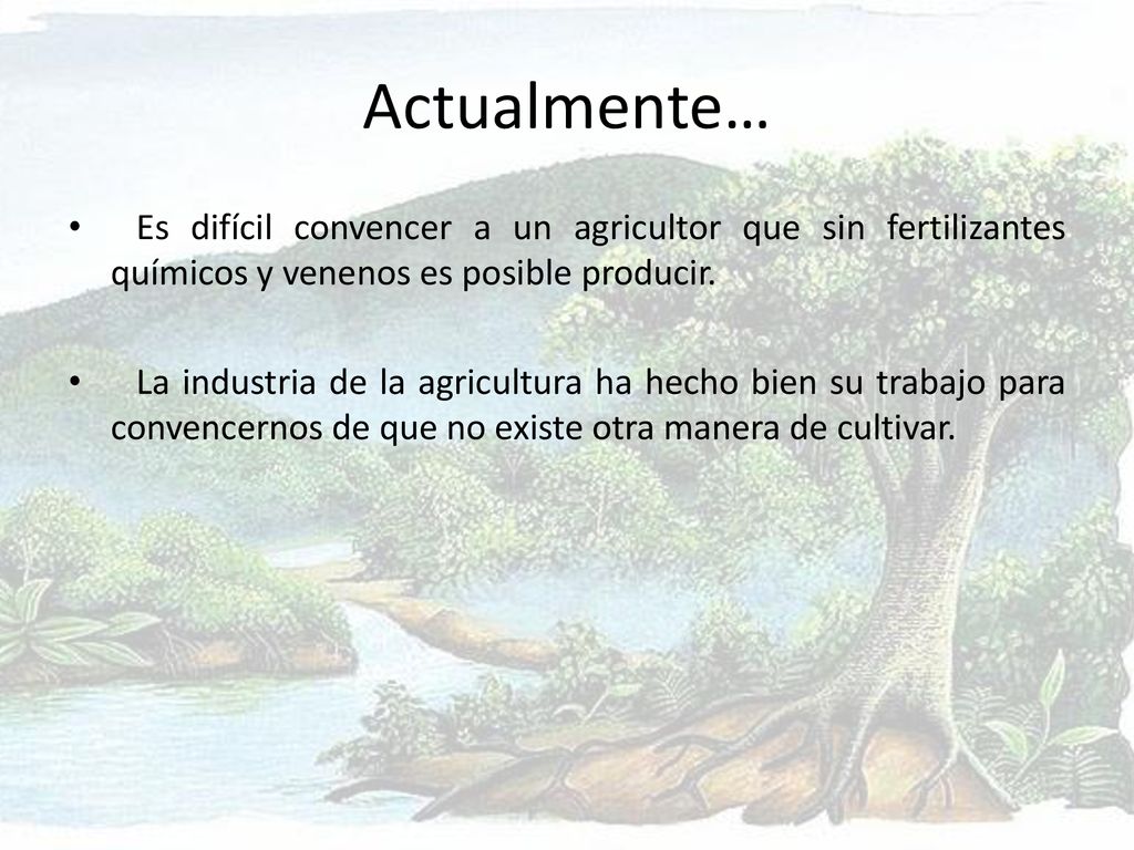 Actualmente… Es difícil convencer a un agricultor que sin fertilizantes químicos y venenos es posible producir.