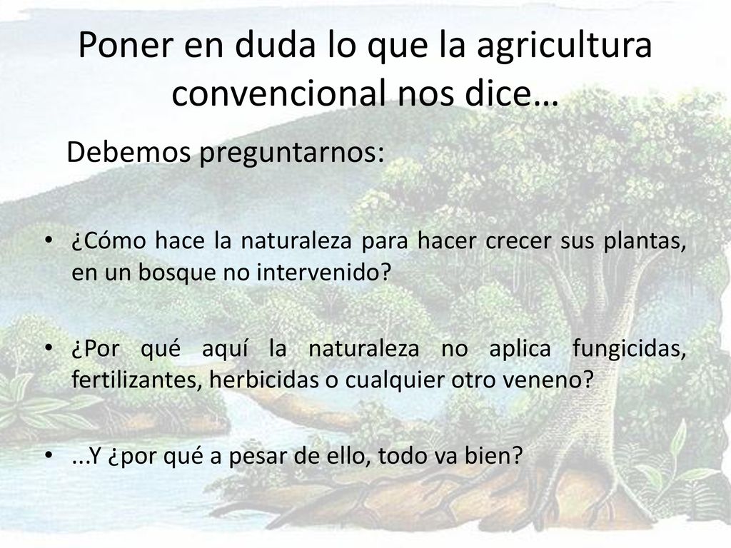 Poner en duda lo que la agricultura convencional nos dice…