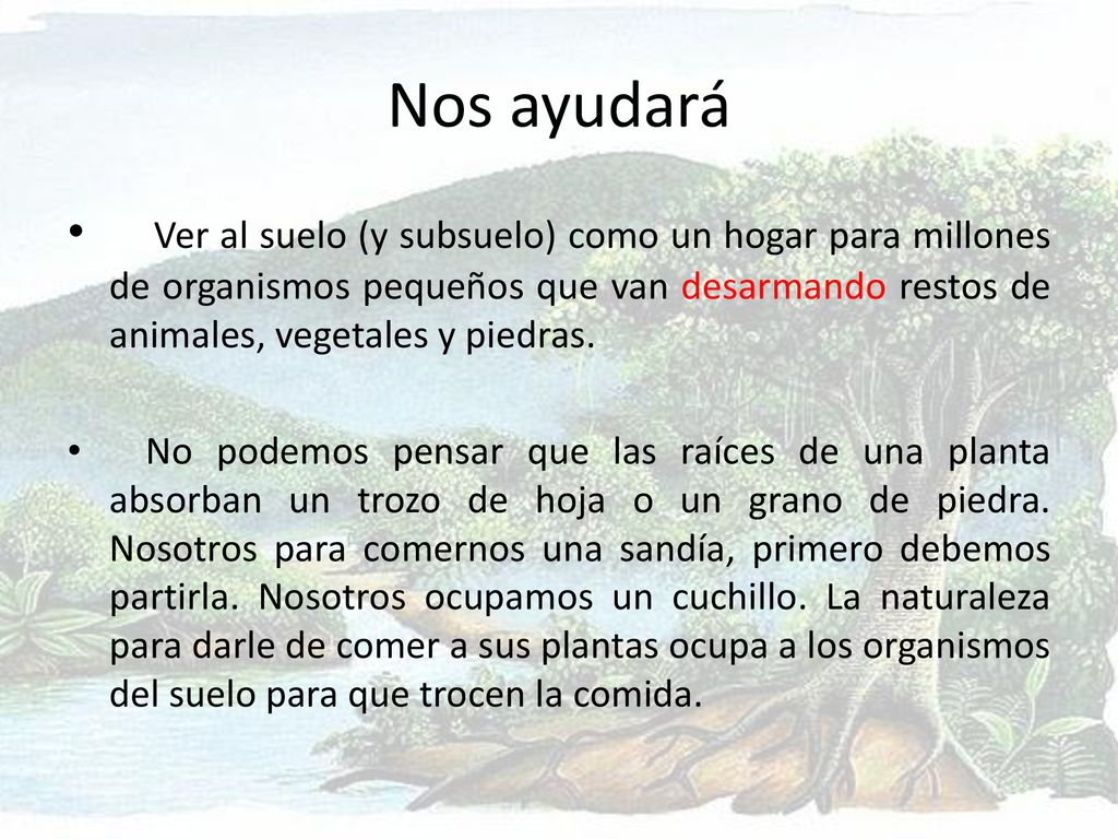 Nos ayudará Ver al suelo (y subsuelo) como un hogar para millones de organismos pequeños que van desarmando restos de animales, vegetales y piedras.