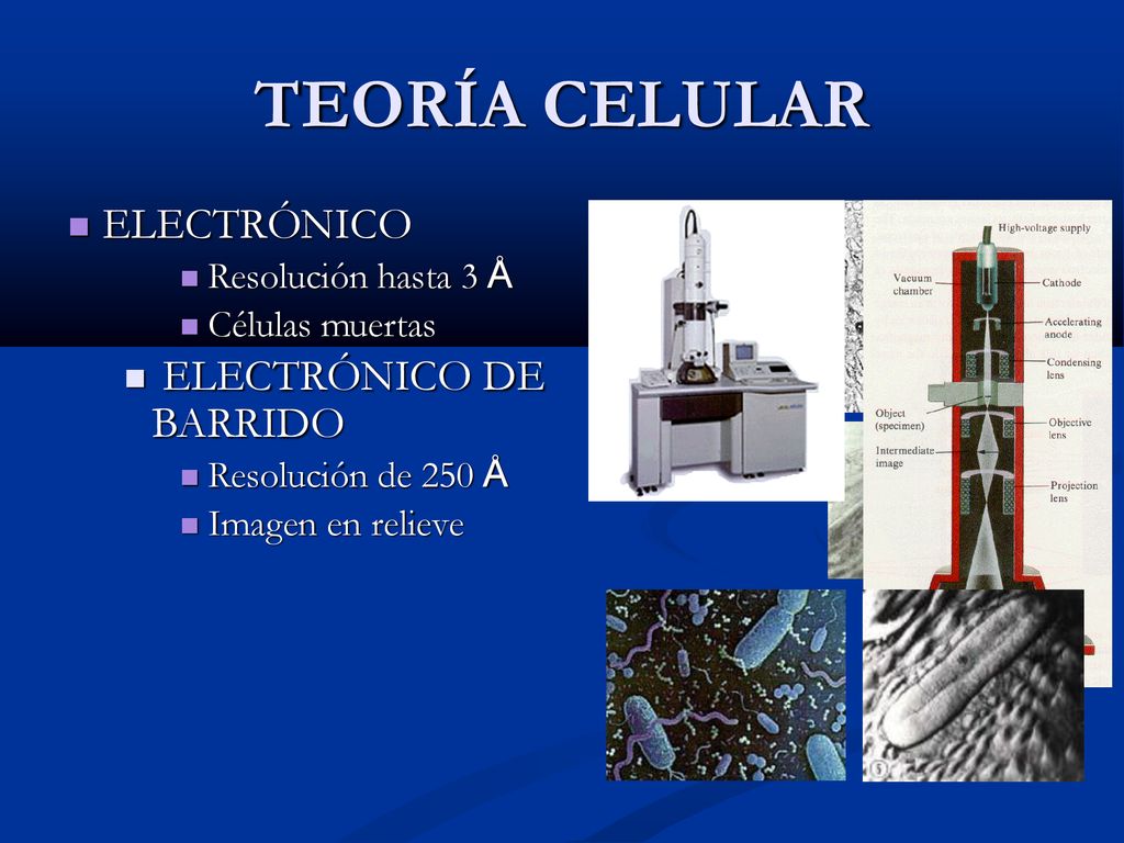 TEORÍA CELULAR ELECTRÓNICO ELECTRÓNICO DE BARRIDO Resolución hasta 3 Å