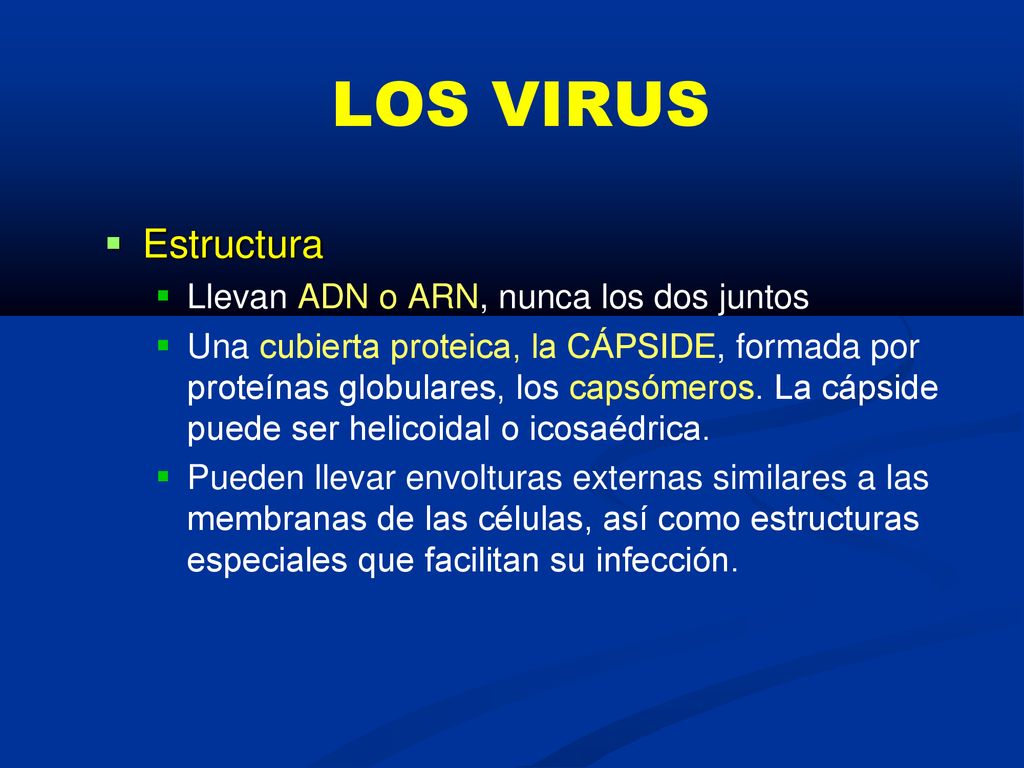 LOS VIRUS Estructura Llevan ADN o ARN, nunca los dos juntos