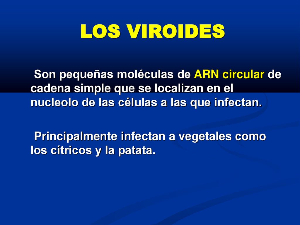 LOS VIROIDES Son pequeñas moléculas de ARN circular de cadena simple que se localizan en el nucleolo de las células a las que infectan.
