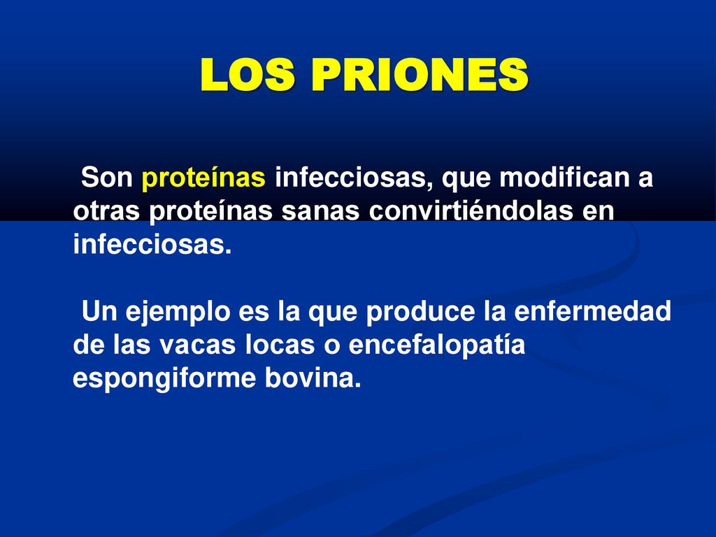 LOS PRIONES Son proteínas infecciosas, que modifican a otras proteínas sanas convirtiéndolas en infecciosas.