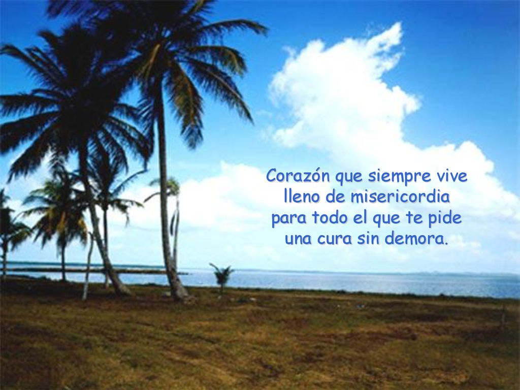 Corazón que siempre vive lleno de misericordia para todo el que te pide una cura sin demora.