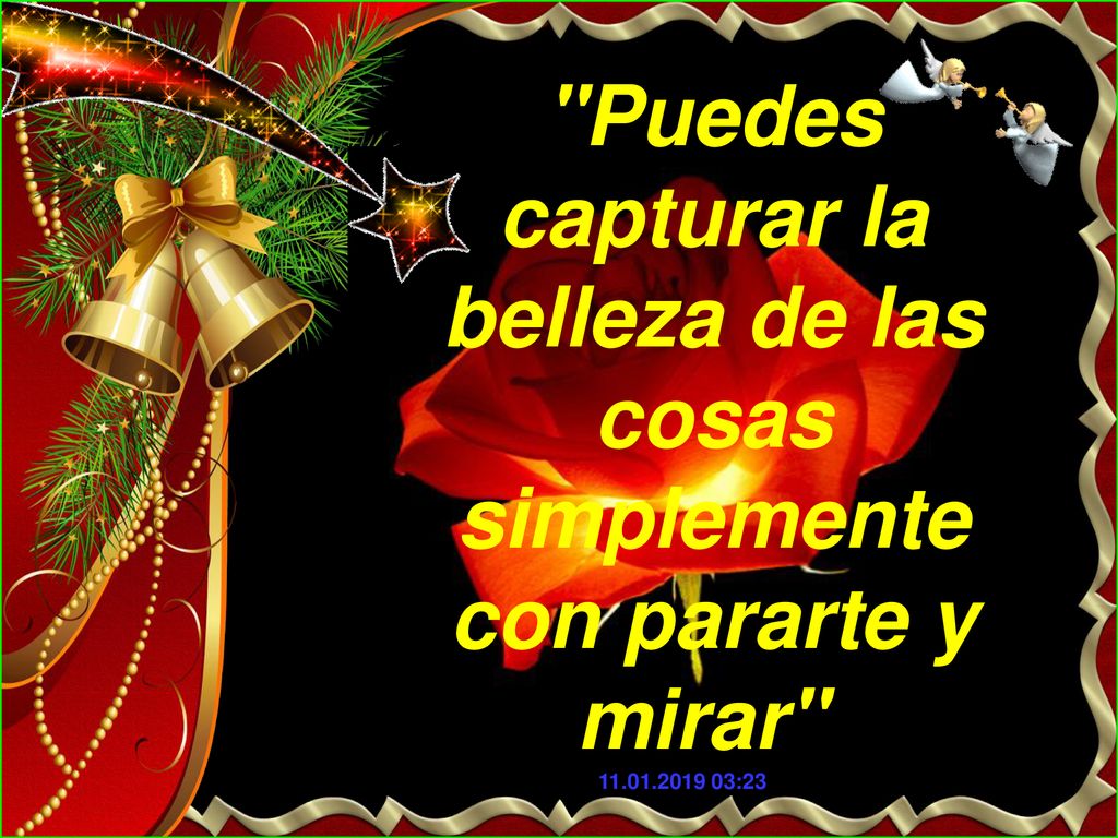 Puedes capturar la belleza de las cosas simplemente con pararte y mirar