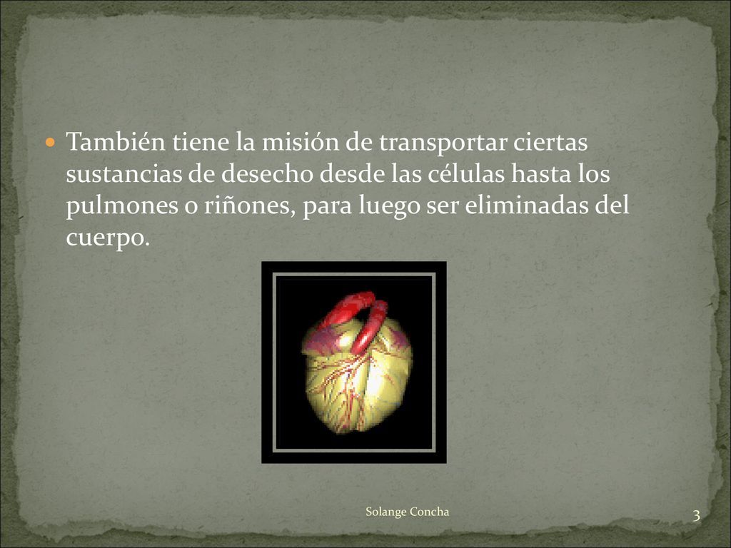 También tiene la misión de transportar ciertas sustancias de desecho desde las células hasta los pulmones o riñones, para luego ser eliminadas del cuerpo.