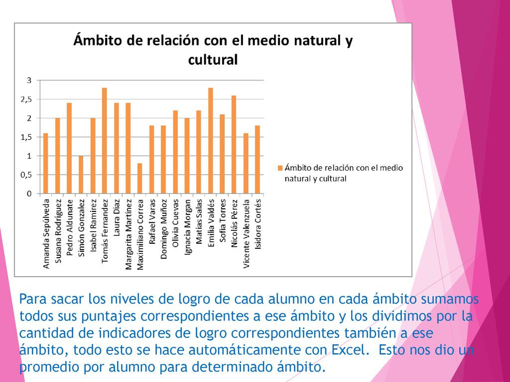 Para sacar los niveles de logro de cada alumno en cada ámbito sumamos todos sus puntajes correspondientes a ese ámbito y los dividimos por la cantidad de indicadores de logro correspondientes también a ese ámbito, todo esto se hace automáticamente con Excel.