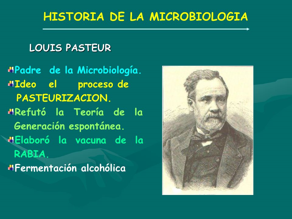 HISTORIA DE LA MICROBIOLOGIA - ppt video online descargar