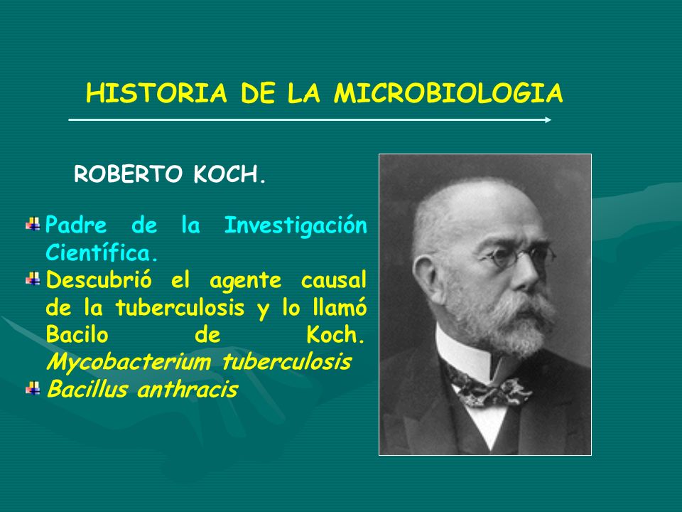 HISTORIA DE LA MICROBIOLOGIA - ppt video online descargar