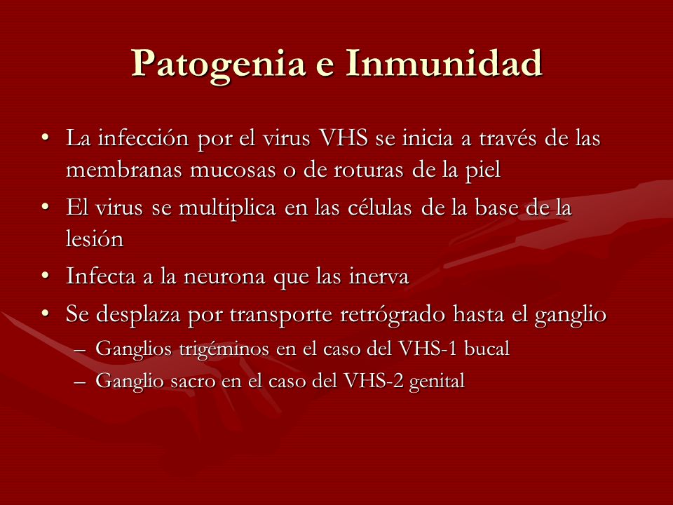 Patogenia e Inmunidad La infección por el virus VHS se inicia a través de las membranas mucosas o de roturas de la piel.