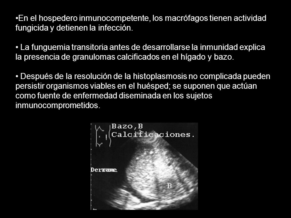 En el hospedero inmunocompetente, los macrófagos tienen actividad fungicida y detienen la infección.