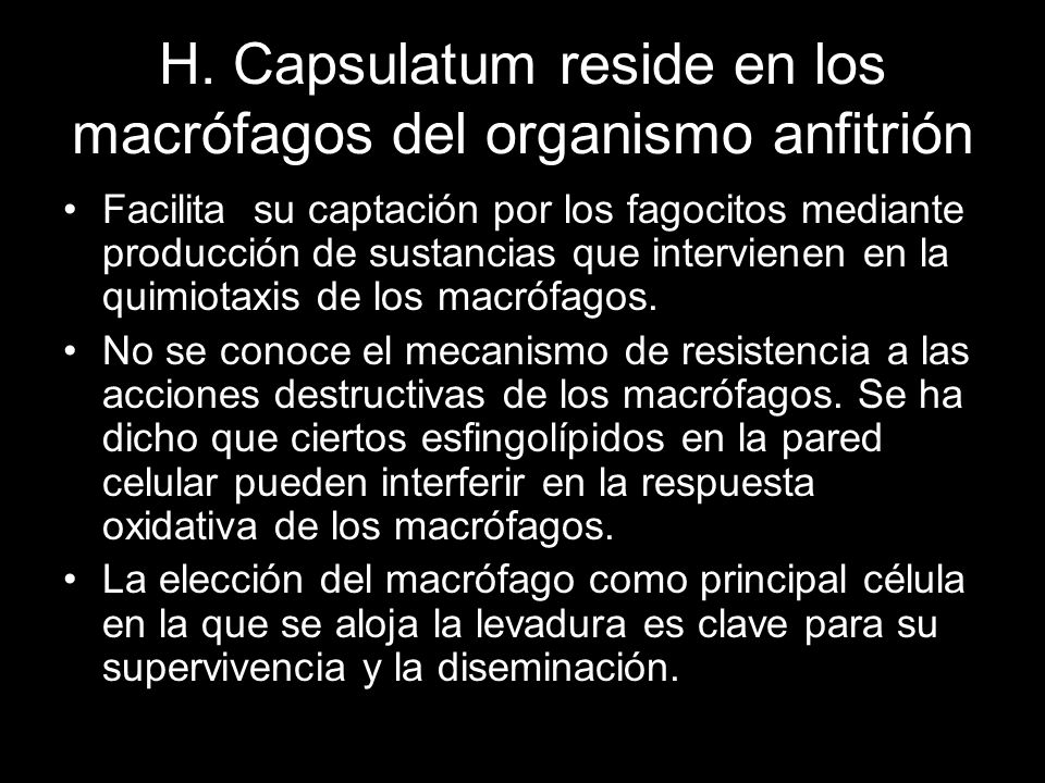 H. Capsulatum reside en los macrófagos del organismo anfitrión