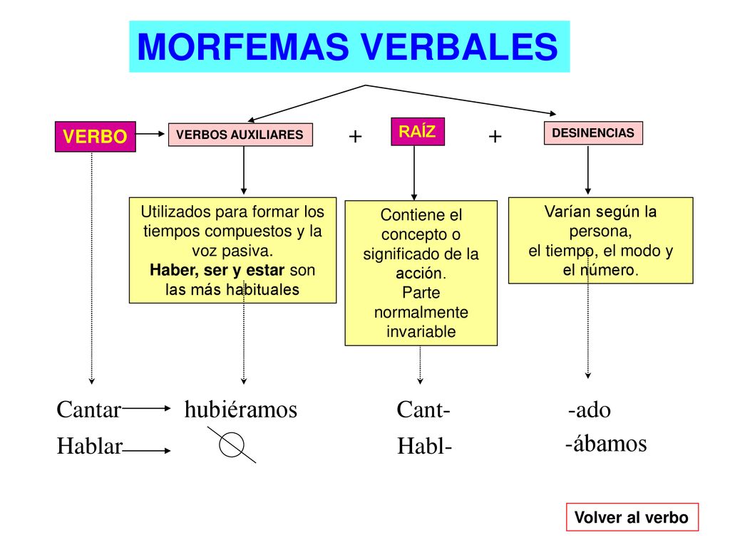 MORFEMAS VERBALES + + Cantar hubiéramos Cant- -ado Hablar Habl-