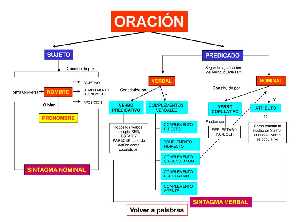 ORACIÓN Volver a palabras SUJETO PREDICADO SINTAGMA NOMINAL