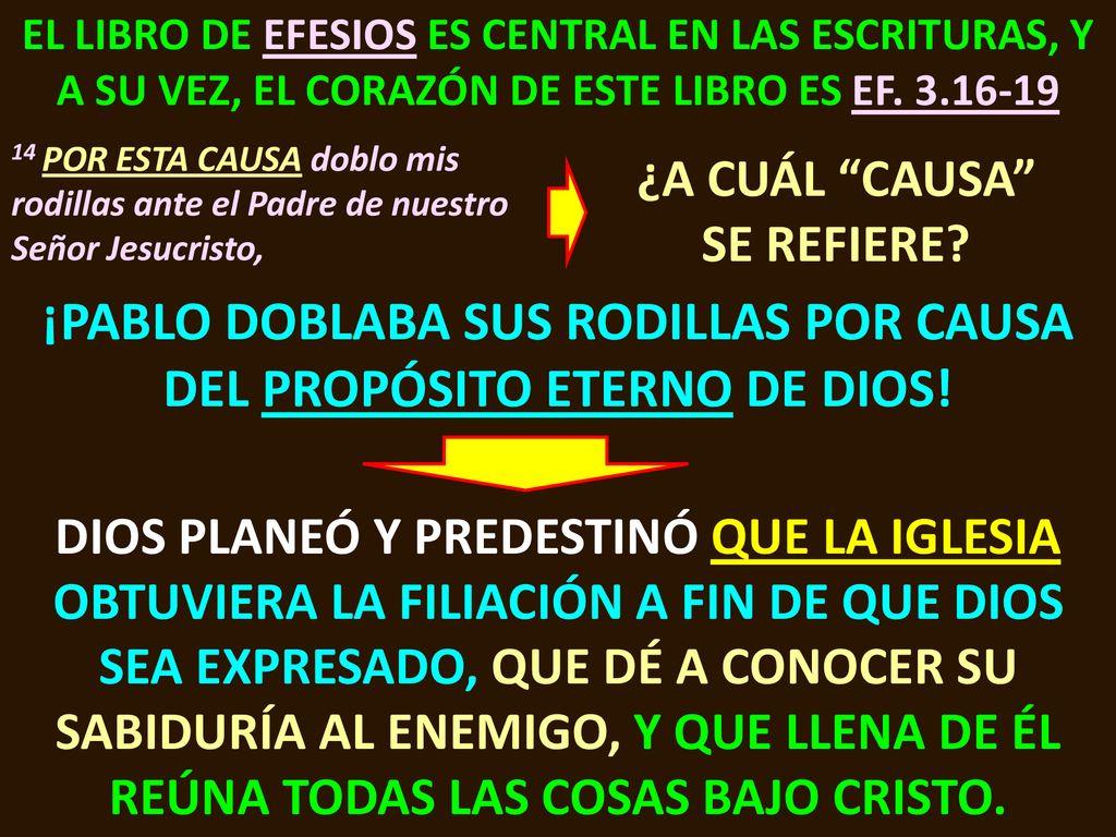 ¡PABLO DOBLABA SUS RODILLAS POR CAUSA DEL PROPÓSITO ETERNO DE DIOS!