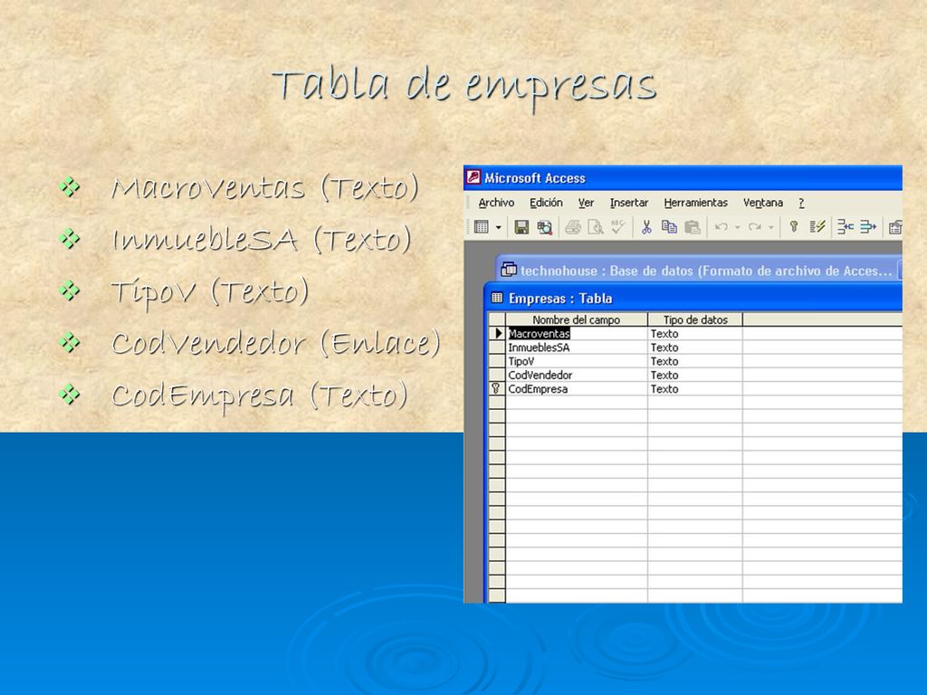 Tabla de empresas MacroVentas (Texto) InmuebleSA (Texto) TipoV (Texto)