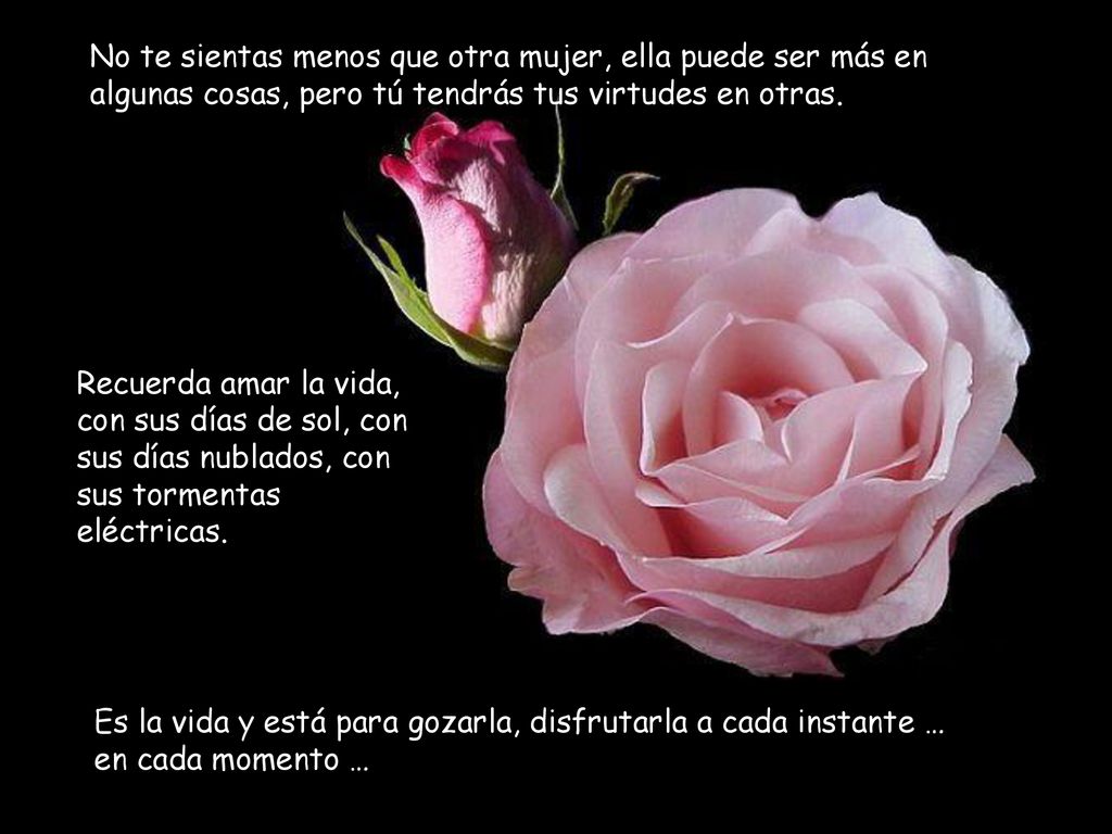 No te sientas menos que otra mujer, ella puede ser más en algunas cosas, pero tú tendrás tus virtudes en otras.