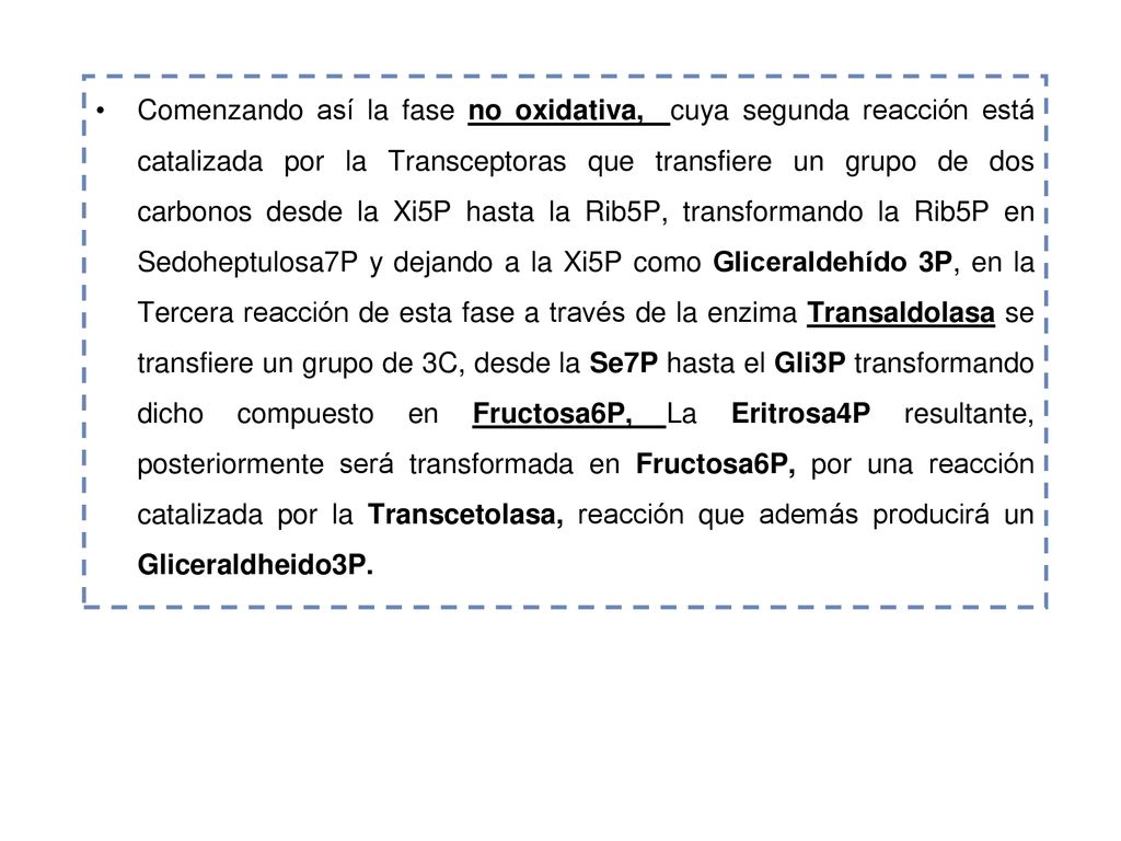 Comenzando así la fase no oxidativa, cuya segunda reacción está catalizada por la Transceptoras que transfiere un grupo de dos carbonos desde la Xi5P hasta la Rib5P, transformando la Rib5P en Sedoheptulosa7P y dejando a la Xi5P como Gliceraldehído 3P, en la Tercera reacción de esta fase a través de la enzima Transaldolasa se transfiere un grupo de 3C, desde la Se7P hasta el Gli3P transformando dicho compuesto en Fructosa6P, La Eritrosa4P resultante, posteriormente será transformada en Fructosa6P, por una reacción catalizada por la Transcetolasa, reacción que además producirá un Gliceraldheido3P.