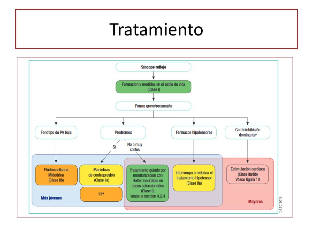 Tratamiento Importancia de incidir en medidas e estilo de vida…
